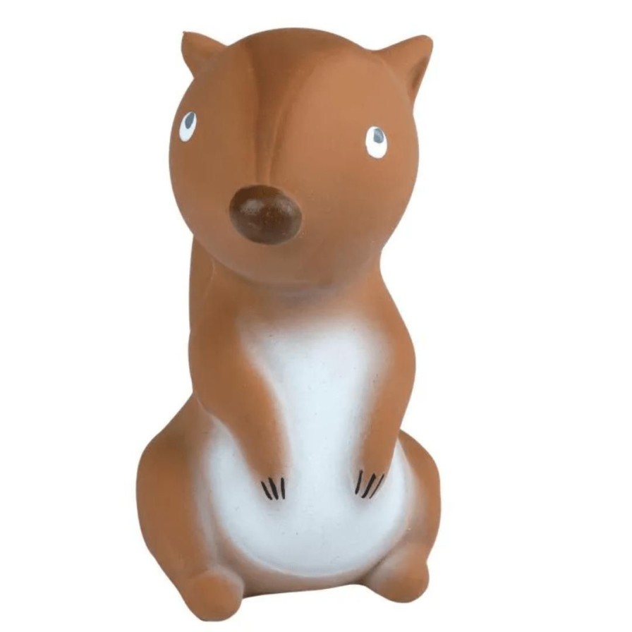 Wooden Toys Tikiri Bath Toys | My First Arctic Animal-Arctic Squirrel