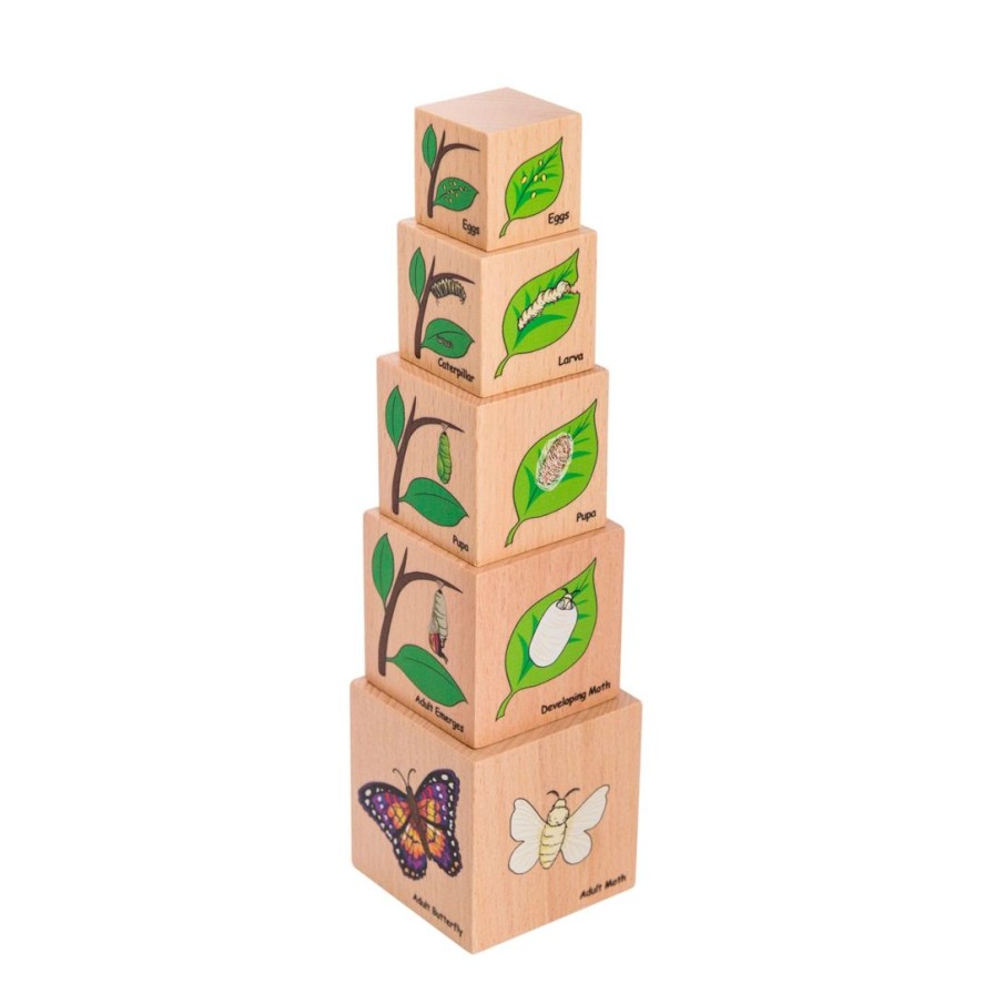 Wooden Toys Freckled Frog Stacking Toys | Wooden Lifecycle Blocks